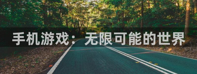 星欧娱乐登录网址：手机游戏：无限可能的世界