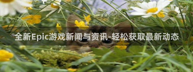 星欧娱乐科技：全新Epic游戏新闻与资讯-轻松获取最新动态