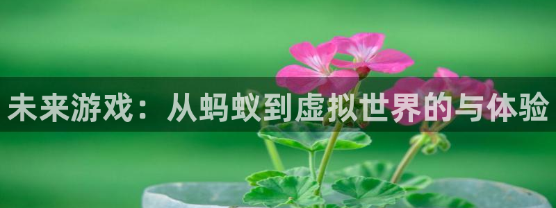 星欧娱乐的意思：未来游戏：从蚂蚁到虚拟世界的与体验
