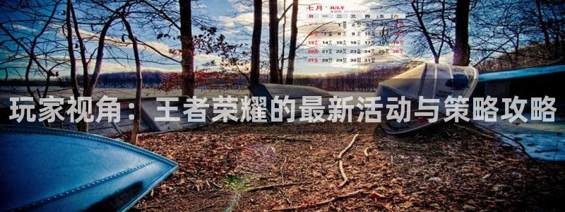 星欧娱乐app：玩家视角：王者荣耀的最新活动与策略攻略