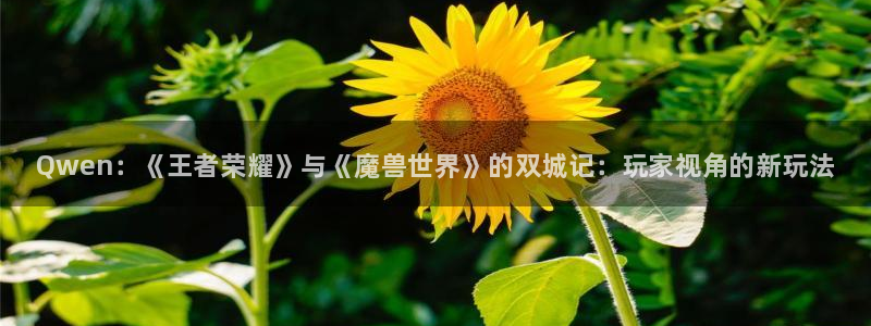 星欧娱乐网址注册：Qwen：《王者荣耀》与《魔兽世界》的双城