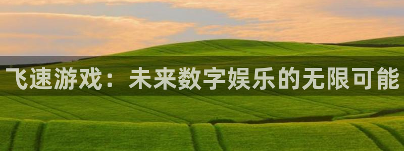 星欧娱乐什么意思：飞速游戏：未来数字娱乐的无限可能