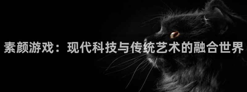 星欧娱乐平台官方网站：素颜游戏：现代科技与传统艺术的融合世界
