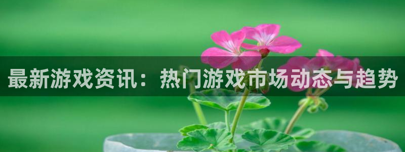 星欧娱乐平台注册开户：最新游戏资讯：热门游戏市场动态与趋势